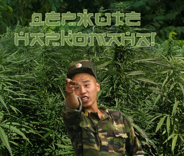 Кадры кровавого режима Северной Кореи