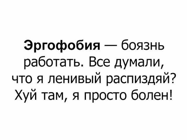 Порция картинок из сети
