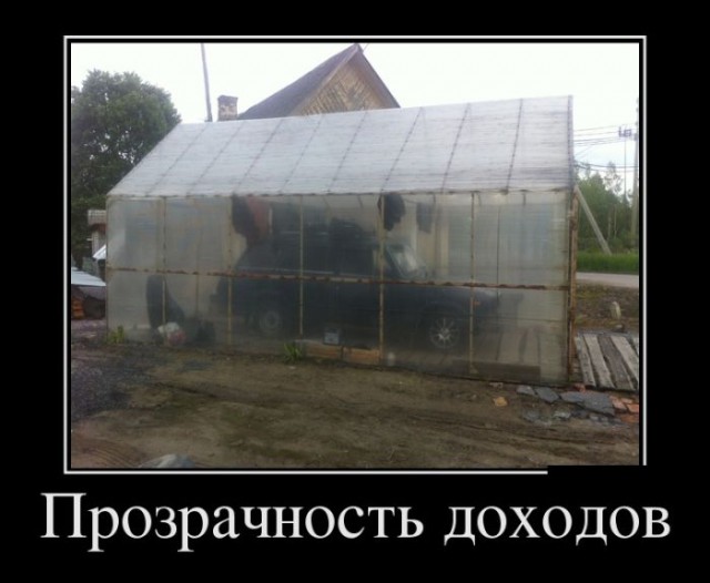 Порция картинок из сети.