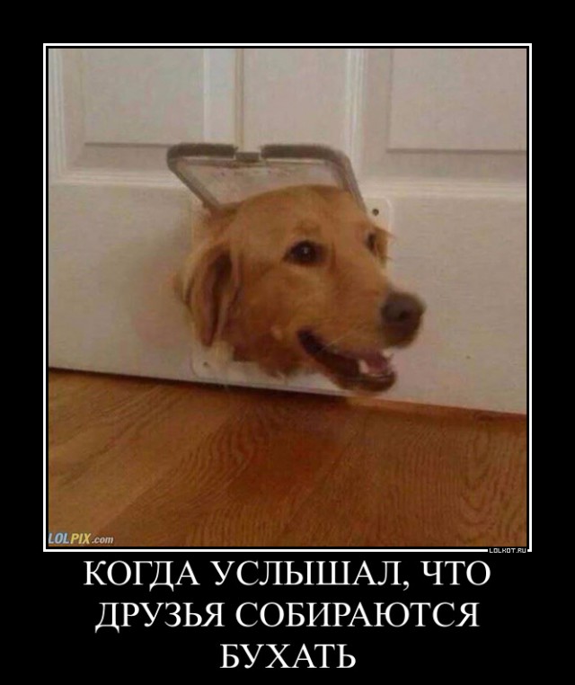 Картинки. Интересные, старые и не очень.