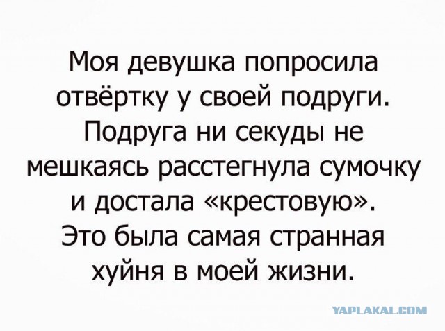 Подборка интересных и веселых картинок