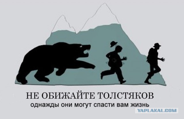 17 фактов, которые заставят задуматься всех пухляков