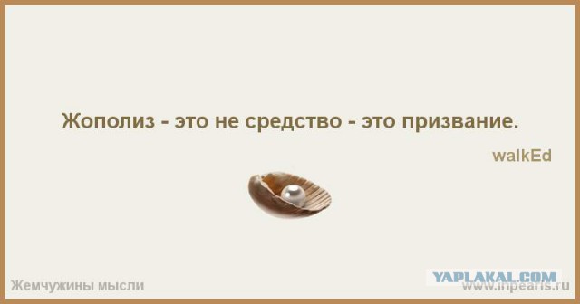 Северокорейский "комбайн смерти"