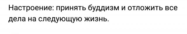 Подборка интересных и веселых картинок