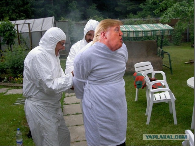Фотожаба "Профиль Трампа"