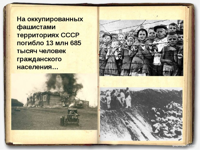 «Новый порядок» в Курске