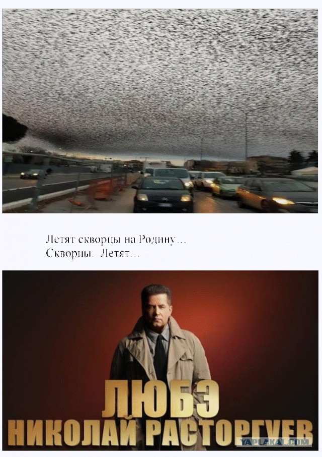35 невероятно увлекательных фотографий редких вещей, которые не увидишь в обычной жизни