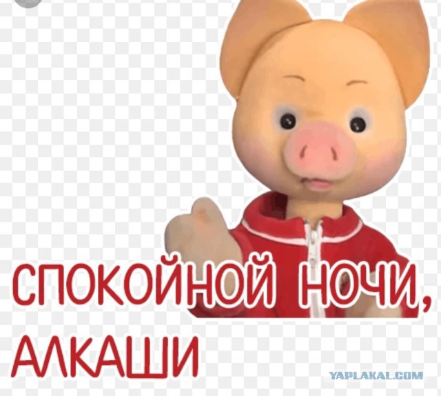 Если б ЯП был на ТВ