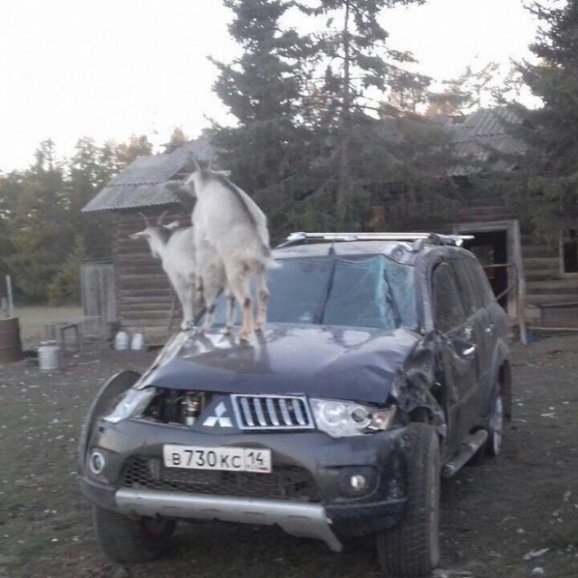 WTF: что тут происходит?