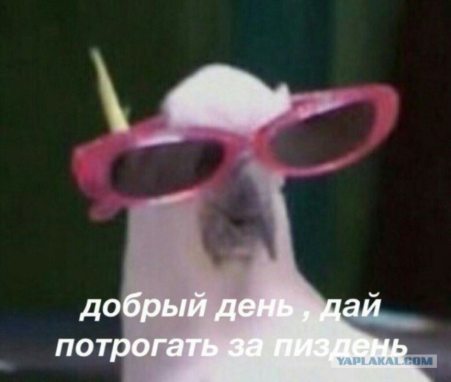 Если ты женат на б**ди!
