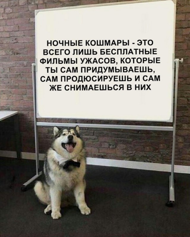 Немного картинок для настроения
