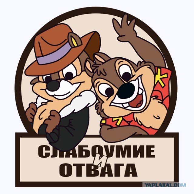 Дача длинной в 6 лет