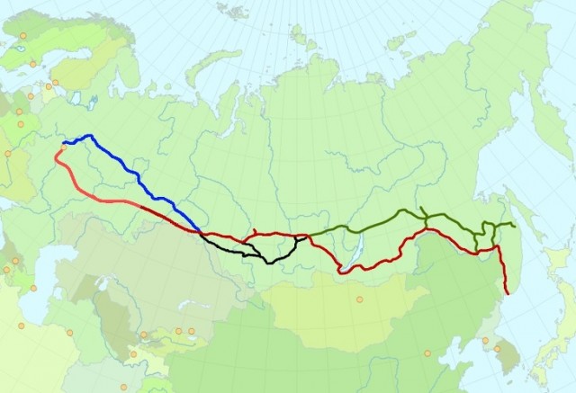 15 вопросов из «Своей игры», которые поставили в тупик самых известных эрудитов