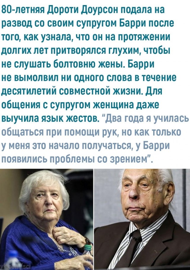 Свинегрет: картинки, надписи и прочее 06.02.20