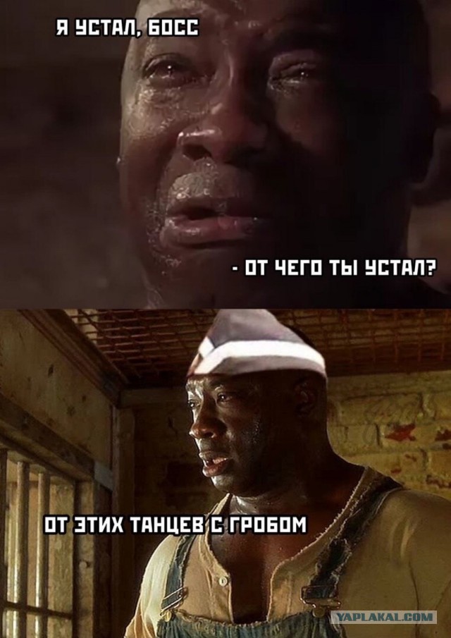 Так себе картинки 10