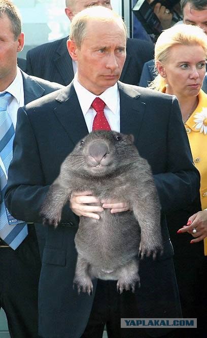 Фотожаба: Путин и зверь