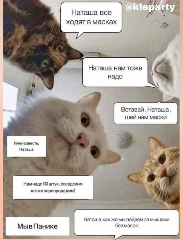 Наташа, вставай!