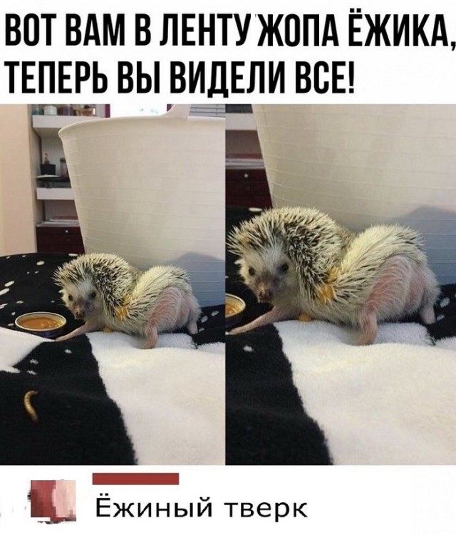 Картинки с надписями и всякие жизненные фразы 10.1.21