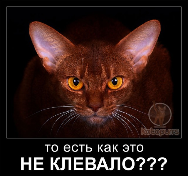 Рыбак