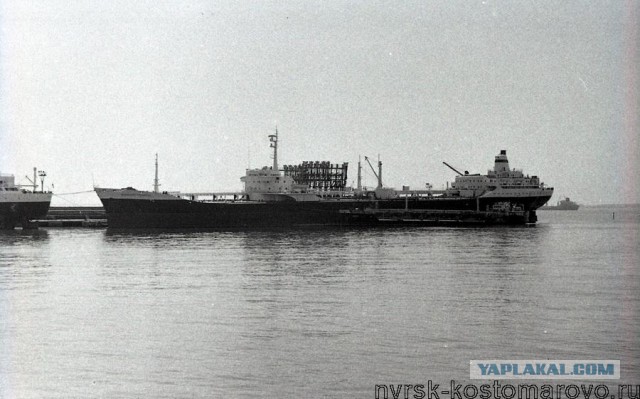 Как СССР стал покупать пшеницу за границей в 1963 — 1970 гг.