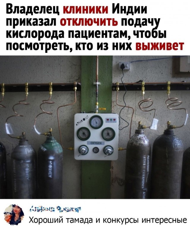 Кретинизмы из сети 16.08.2021