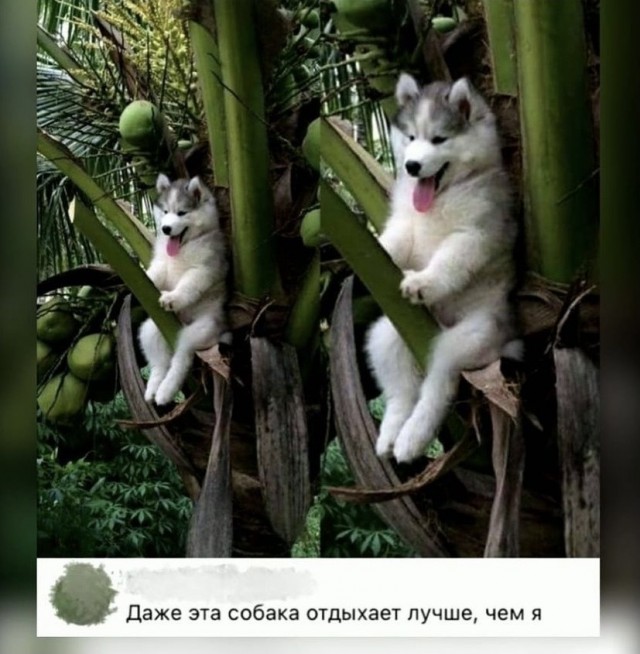Там где вы учились, мы преподавали