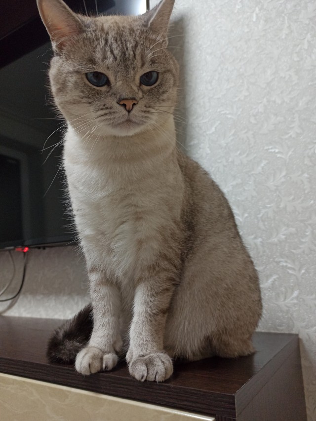 Вторник жеш!