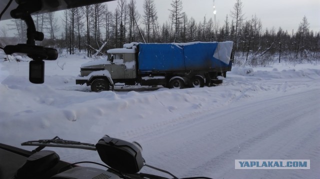 Фуру с пивом бросили на зимнике. Показываю, что с ней стало спустя год