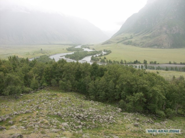В ноябре на Алтае 2010г.