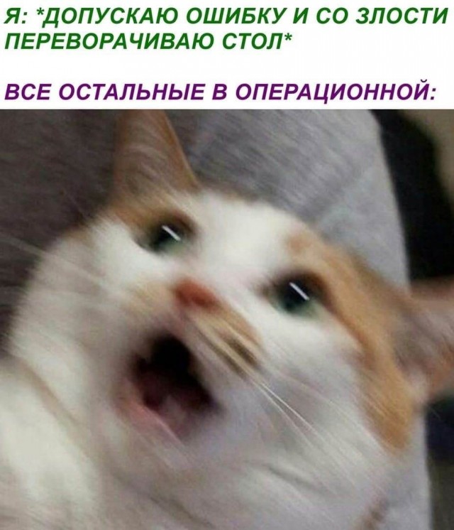Подборка картинок всяческих 09.02.2022