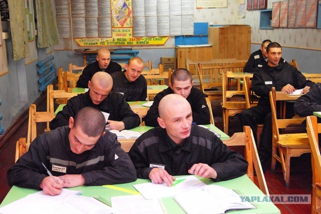 Сибирским школьникам дали задачу об остывании трупа: «На какое время должно быть алиби?»