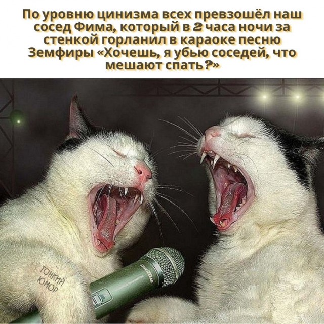 Так себе картинки 24.03.22