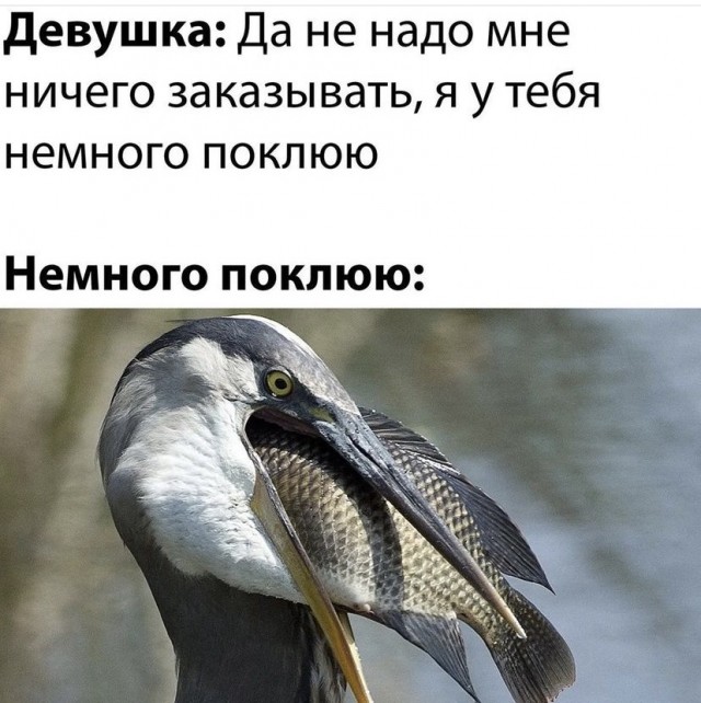 Так себе картинки 07.05.22