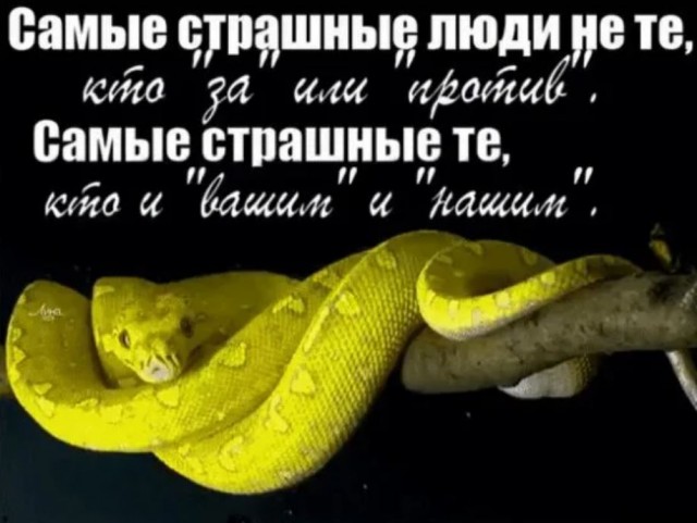Пандемия съехавших крыш - разновидности болезни. Россия и мир. Часть 38