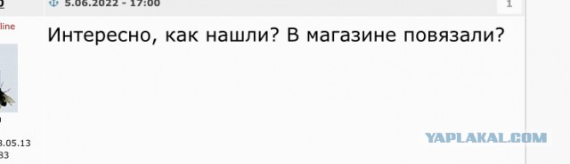 Екатеринбурженка подобрала на улице чужую банковскую карту. Теперь ей грозит срок до шести лет