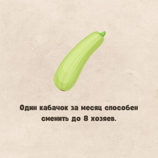 Юмор в картинках и без 23.08.22