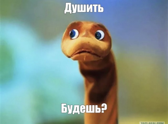 Девушки.Вид сзади 30.10.22