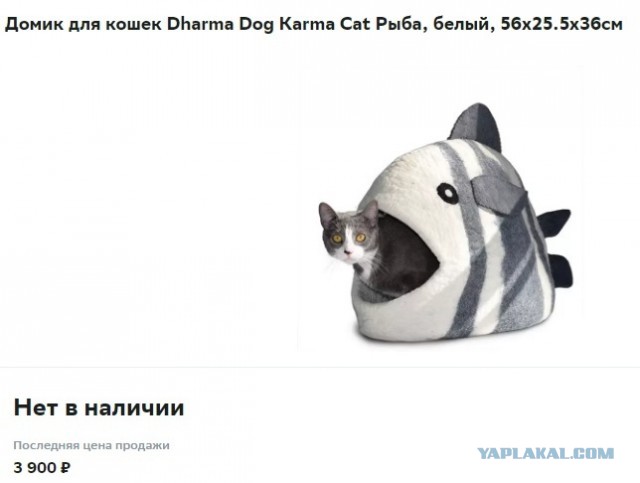 Настроение: сожри меня большая рыба