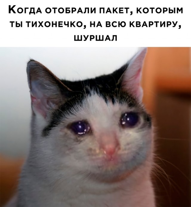 Немного картинок для настроения - 139
