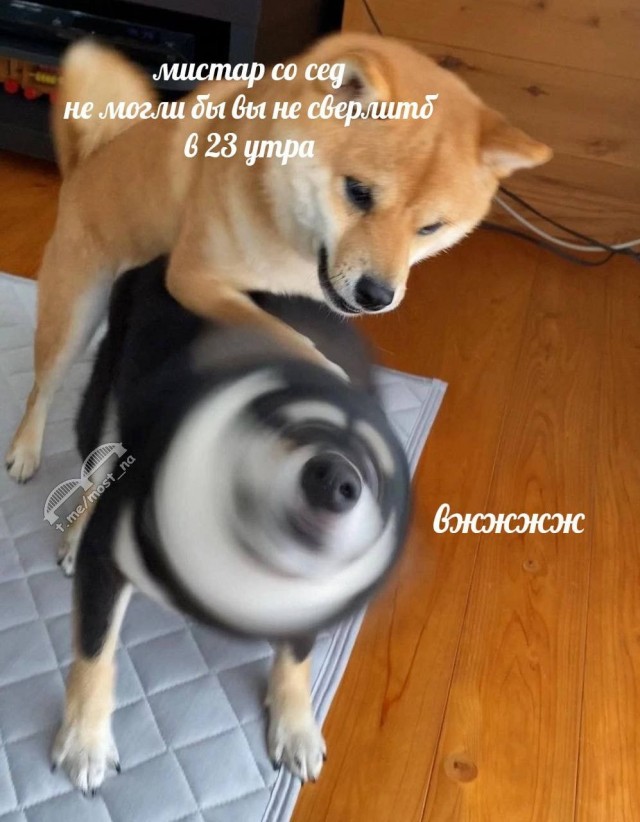 Нуштош 28.02.23