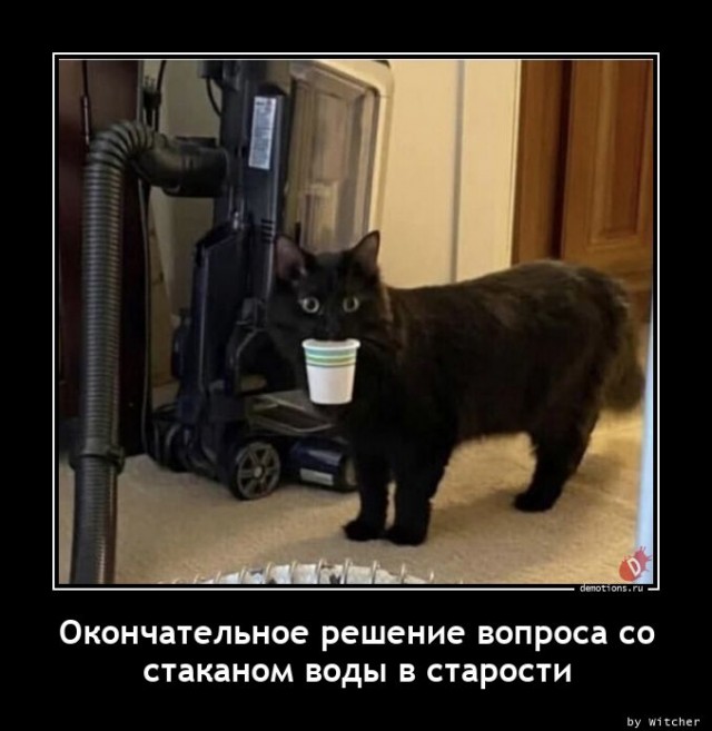 Женская верность: миф или реальность?