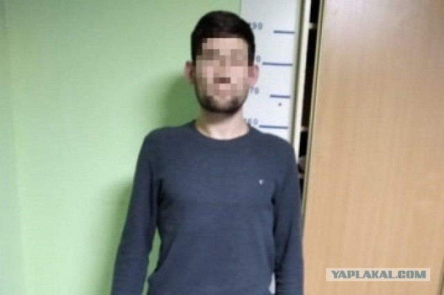 Приставал к школьнице на глазах у сестрёнки: в Подмосковье таксист-мигрант напал на девочку