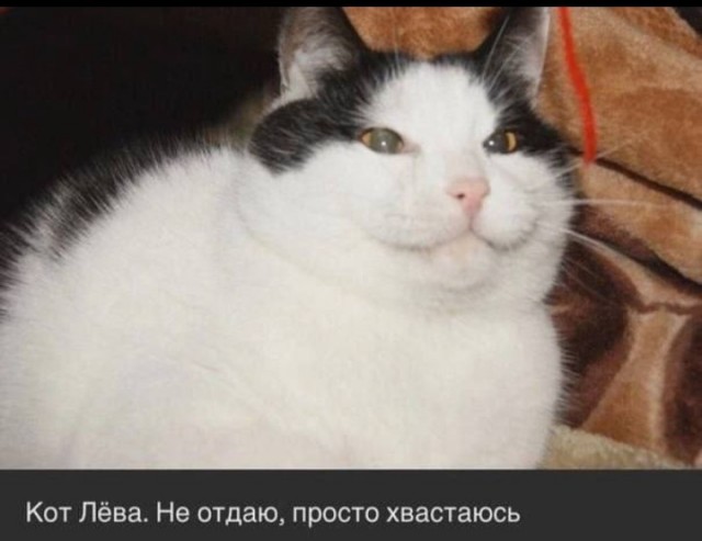Всего понемногу. От 03.10.23