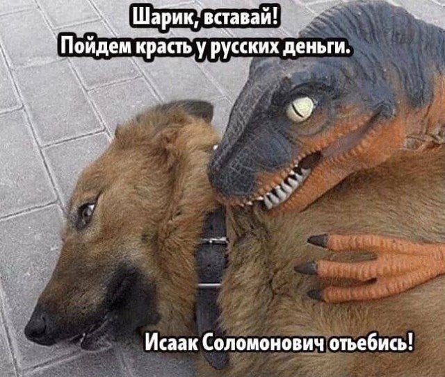 Отряд быстрого деградирования