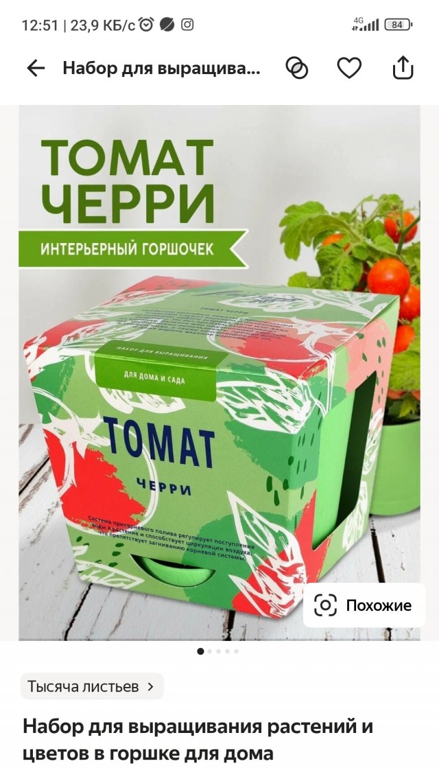 Мой первый перчик