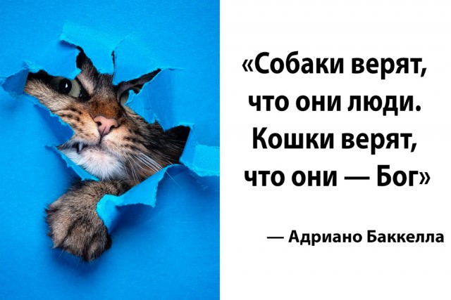 Многие не понимают...