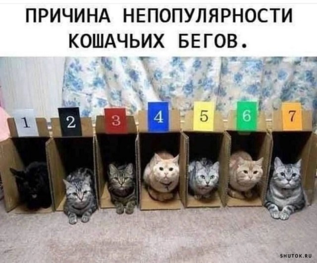 Веселые картинки к пятнице (09.08)