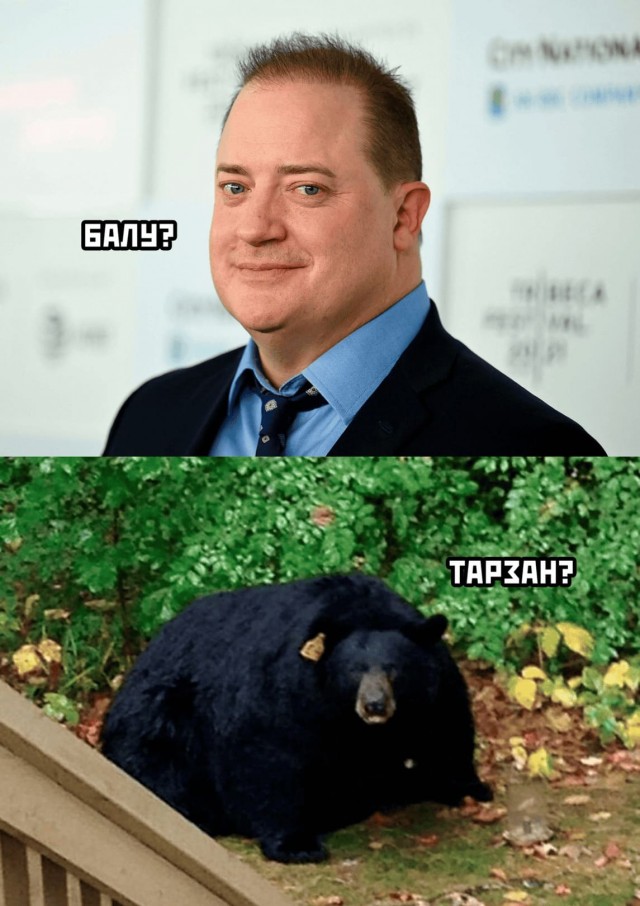 Для тех, кому не спится