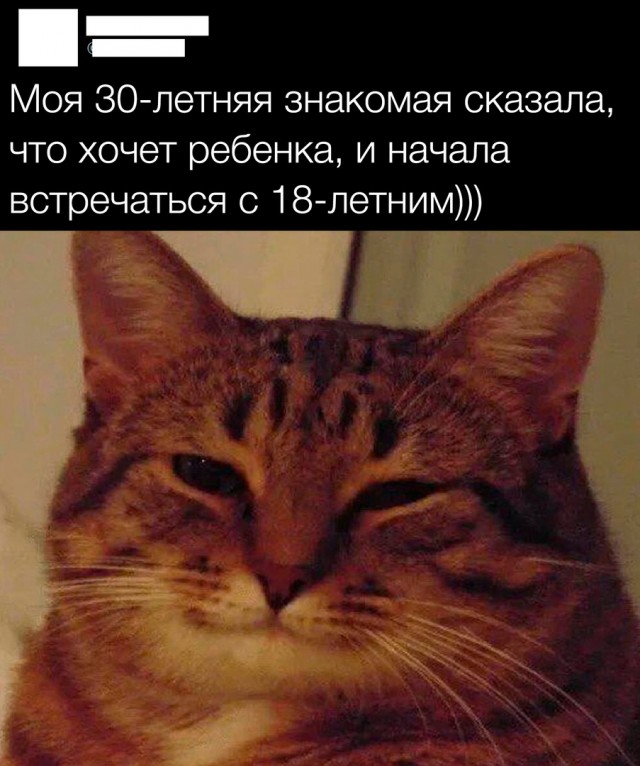 Так себе картинки 28.11.24