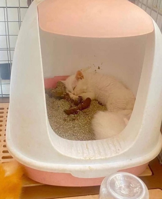 Всего понемногу. От 10.02.2025